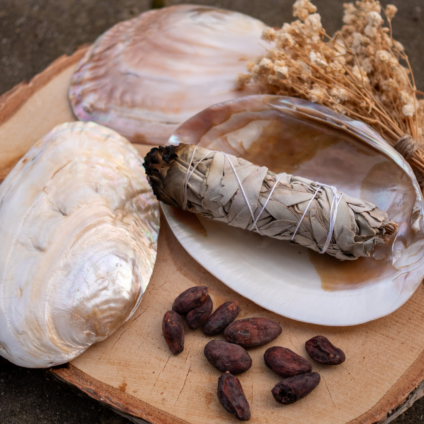 PERLMUSCHELSCHALE | Sanftheit, Weiblichkeit & schimmernde Schönheit der Natur